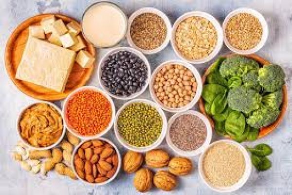 The Best Sources of Plant-Based Protein for Vegetarians and Vegans