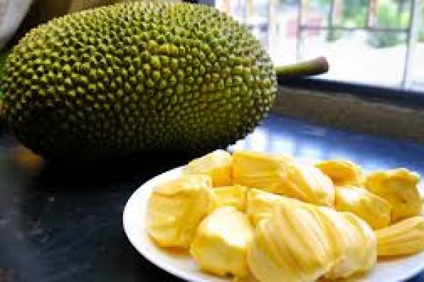 Jackfruit: The Versatile Tropical Superfruit