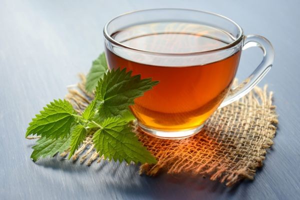 A Timeless Brew
